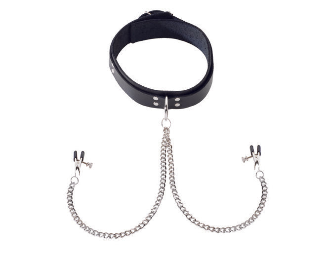 Black Leather Collar with Broad Tip Clamps