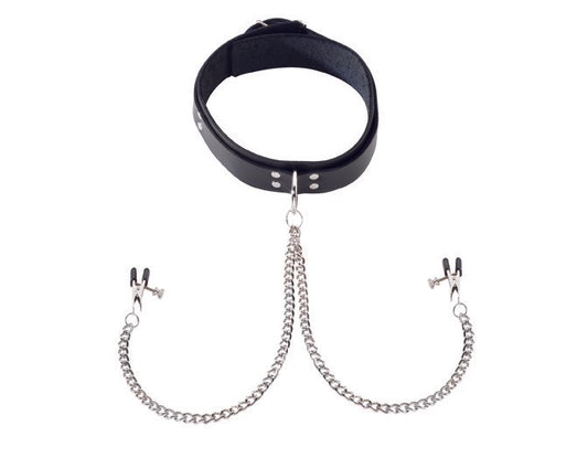 Black Leather Collar with Broad Tip Clamps