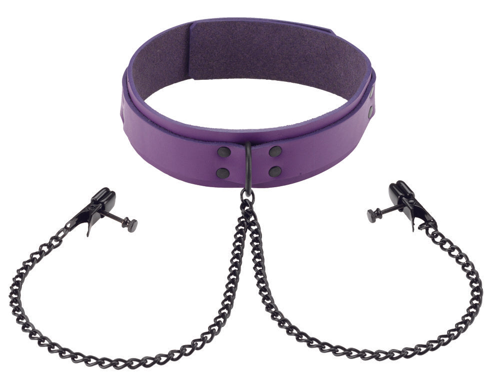 Purple Leather Collar with Broad Tip Clamps