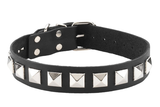 Collar - Single Strap - Studded