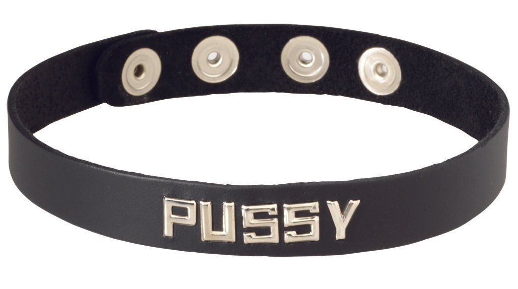 Wordband Collar - PUSSY