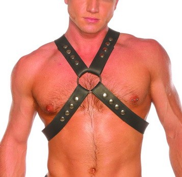 Men's Upper Body Harness